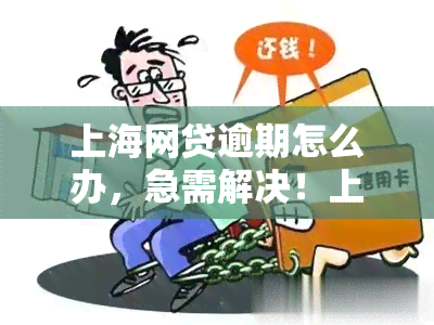 上海网贷逾期怎么办，急需解决！上海网贷逾期如何处理？