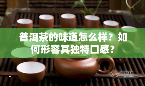 普洱茶的味道怎么样？如何形容其独特口感？