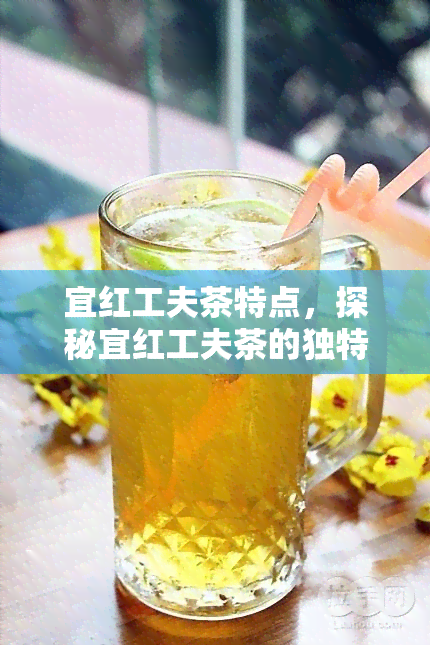 宜红工夫茶特点，探秘宜红工夫茶的独特魅力与特点