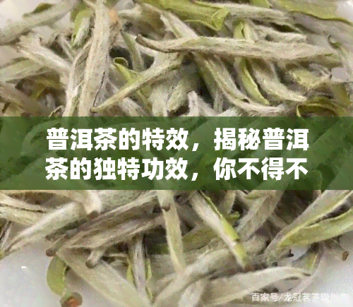 普洱茶的特效，揭秘普洱茶的独特功效，你不得不知的健秘密！