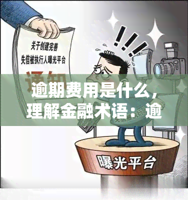 逾期费用是什么，理解金融术语：逾期费用的含义与计算方式