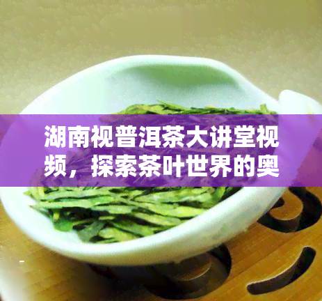 湖南视普洱茶大讲堂视频，探索茶叶世界的奥秘：湖南视普洱茶大讲堂视频解析