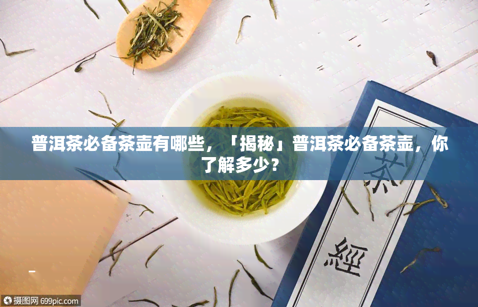 普洱茶必备茶壶有哪些，「揭秘」普洱茶必备茶壶，你了解多少？