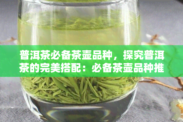 普洱茶必备茶壶品种，探究普洱茶的完美搭配：必备茶壶品种推荐