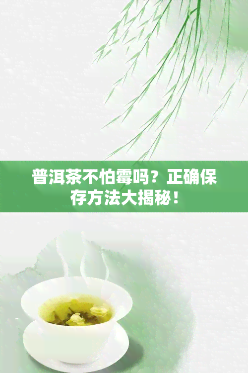 普洱茶不怕霉吗？正确保存方法大揭秘！