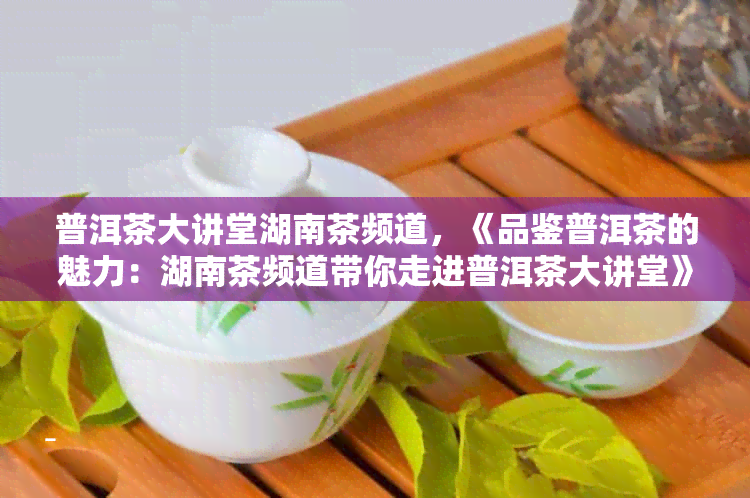 普洱茶大讲堂湖南茶频道，《品鉴普洱茶的魅力：湖南茶频道带你走进普洱茶大讲堂》