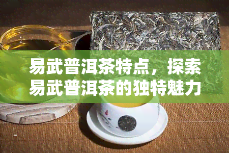 易武普洱茶特点，探索易武普洱茶的独特魅力：特点解析与品鉴指南