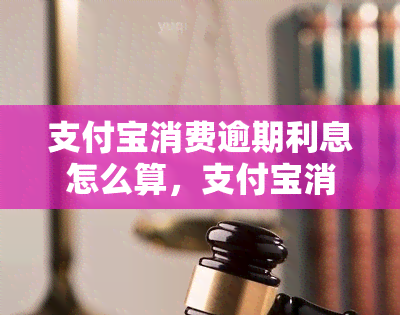 支付宝消费逾期利息怎么算，支付宝消费逾期利息计算方法详解