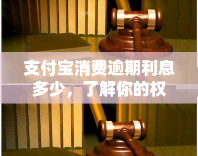 支付宝消费逾期利息多少，了解你的权利：支付宝消费逾期利息是多少？