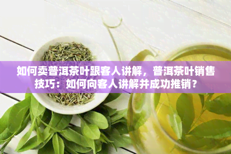 如何卖普洱茶叶跟客人讲解，普洱茶叶销售技巧：如何向客人讲解并成功推销？