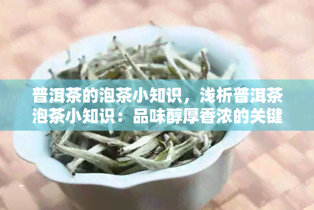 普洱茶的泡茶小知识，浅析普洱茶泡茶小知识：品味醇厚香浓的关键步骤