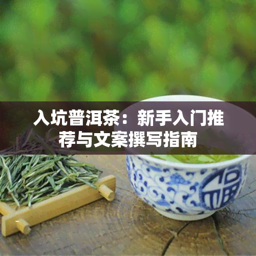 入坑普洱茶：新手入门推荐与文案撰写指南