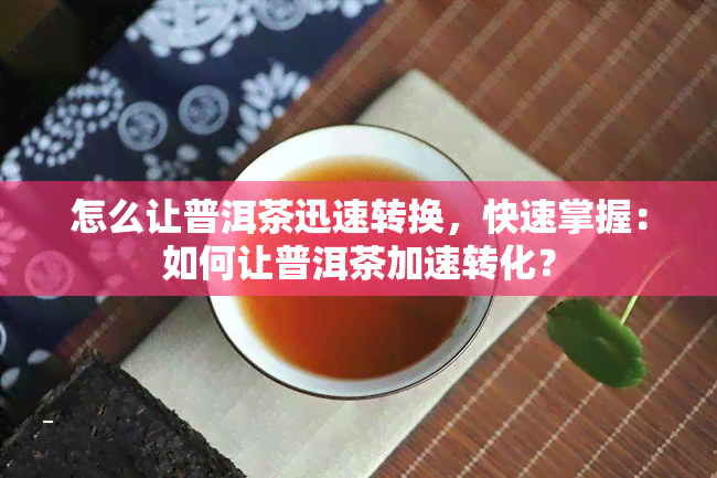 怎么让普洱茶迅速转换，快速掌握：如何让普洱茶加速转化？