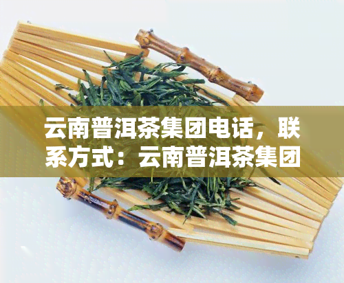 云南普洱茶集团电话，联系方式：云南普洱茶集团电话号码