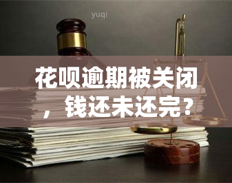 花呗逾期被关闭，钱还未还完？解决方案全在这！