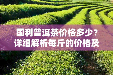 国利普洱茶价格多少？详细解析每斤的价格及市场行情