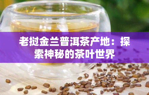 老挝金兰普洱茶产地：探索神秘的茶叶世界