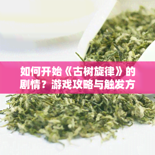 如何开始《古树旋律》的剧情？游戏攻略与触发方法详解