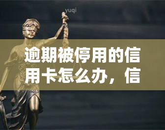 逾期被停用的信用卡怎么办，信用卡逾期被停用？教你如何恢复使用权限