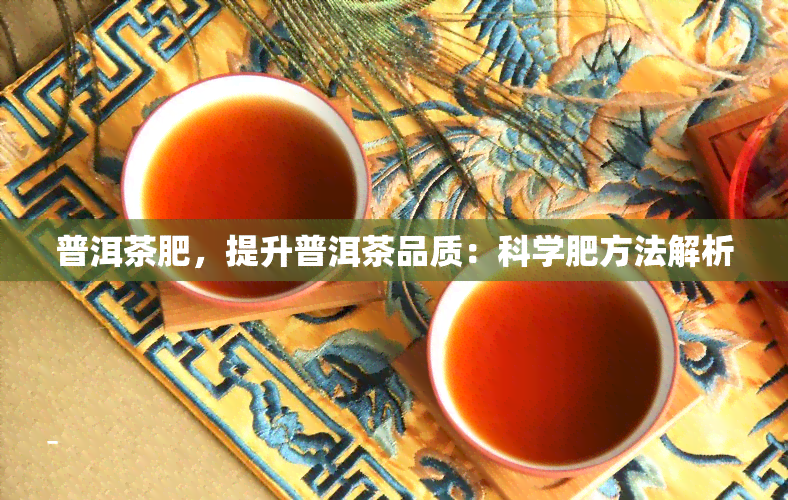 普洱茶肥，提升普洱茶品质：科学肥方法解析