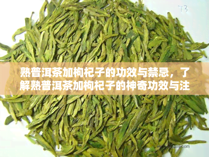 熟普洱茶加枸杞子的功效与禁忌，了解熟普洱茶加枸杞子的神奇功效与注意事