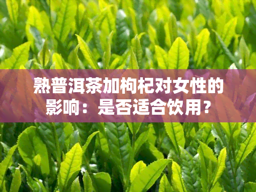 熟普洱茶加枸杞对女性的影响：是否适合饮用？