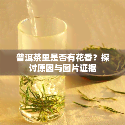 普洱茶里是否有花香？探讨原因与图片证据