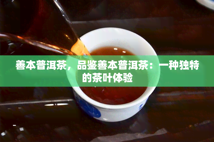 善本普洱茶，品鉴善本普洱茶：一种独特的茶叶体验