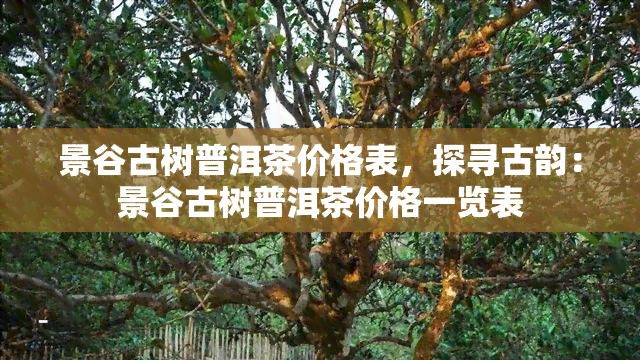 景谷古树普洱茶价格表，探寻古韵：景谷古树普洱茶价格一览表