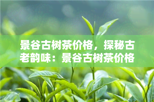 景谷古树茶价格，探秘古老韵味：景谷古树茶价格解析与购买指南