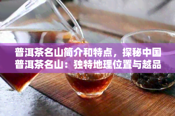 普洱茶名山简介和特点，探秘中国普洱茶名山：独特地理位置与越品质的完美结合