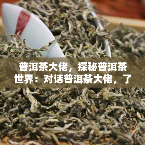 普洱茶大佬，探秘普洱茶世界：对话普洱茶大佬，了解茶叶背后的秘密