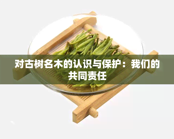 对古树名木的认识与保护：我们的共同责任