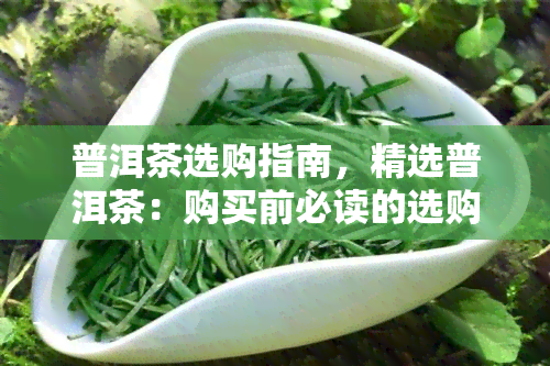 普洱茶选购指南，精选普洱茶：购买前必读的选购指南