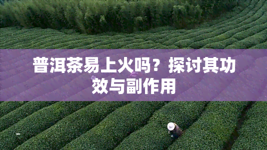 普洱茶易上火吗？探讨其功效与副作用