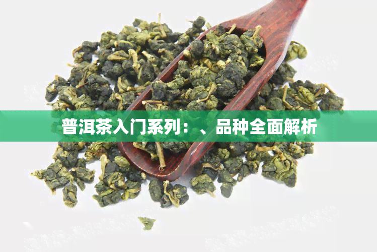 普洱茶入门系列：、品种全面解析