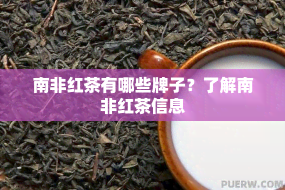 南非红茶有哪些牌子？了解南非红茶信息