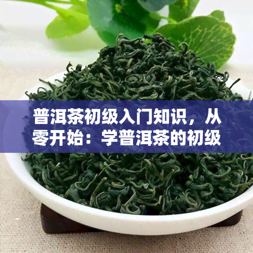 普洱茶初级入门知识，从零开始：学普洱茶的初级入门知识