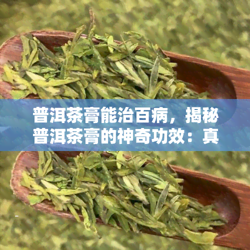 普洱茶膏能治百病，揭秘普洱茶膏的神奇功效：真的能治百病吗？