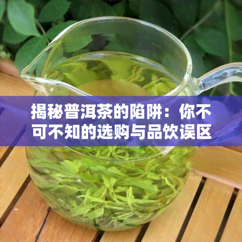 揭秘普洱茶的陷阱：你不可不知的选购与品饮误区