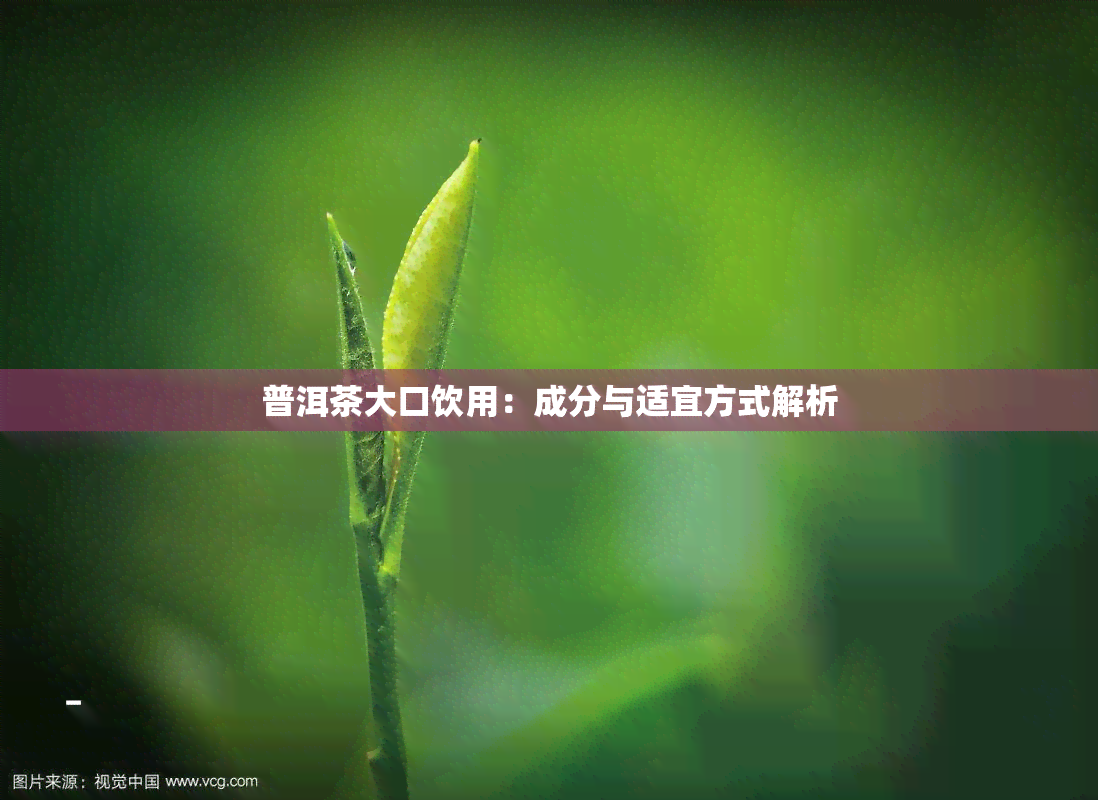 普洱茶大口饮用：成分与适宜方式解析