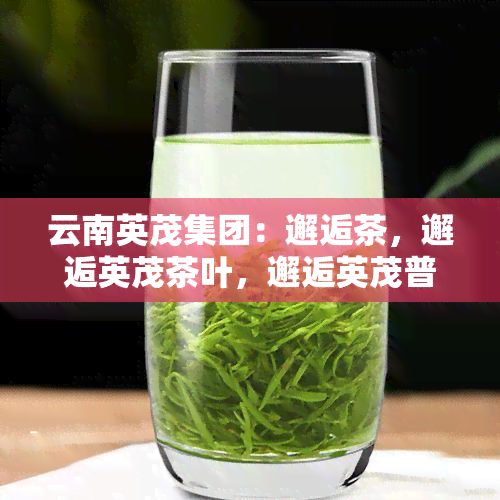 云南英茂集团：邂逅茶，邂逅英茂茶叶，邂逅英茂普洱茶