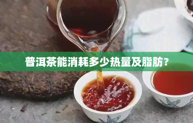 普洱茶能消耗多少热量及脂肪？