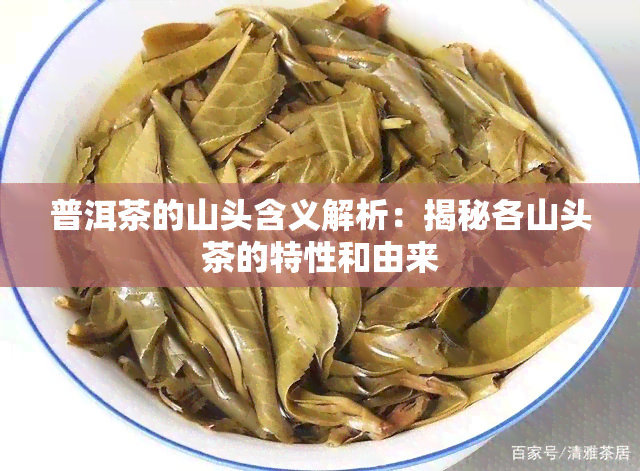 普洱茶的山头含义解析：揭秘各山头茶的特性和由来