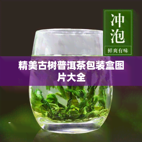 精美古树普洱茶包装盒图片大全