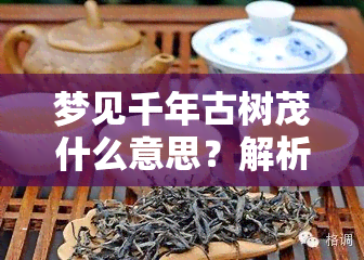 梦见千年古树茂什么意思？解析其深层含义与预兆