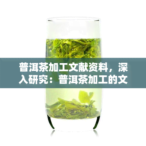 普洱茶加工文献资料，深入研究：普洱茶加工的文献资料分析