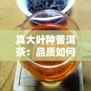 真大叶种普洱茶：品质如何？看图了解