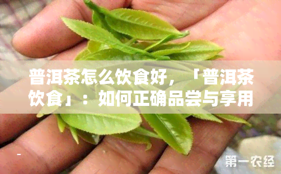 普洱茶怎么饮食好，「普洱茶饮食」：如何正确品尝与享用普洱茶？