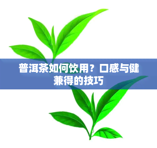 普洱茶如何饮用？口感与健兼得的技巧